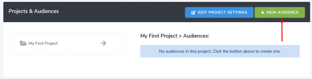 create-audience-on-audiencer
