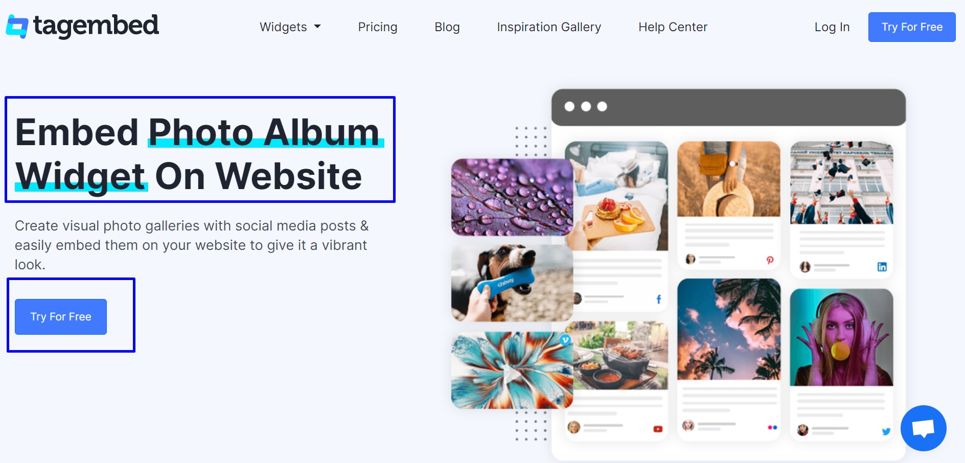 album-widget-leading-social-media-aggregator-tool