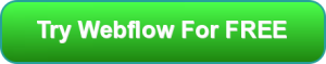 webflow-review